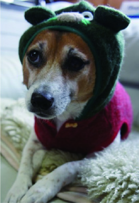 多摩川金属株式会社 ケリーアイコン